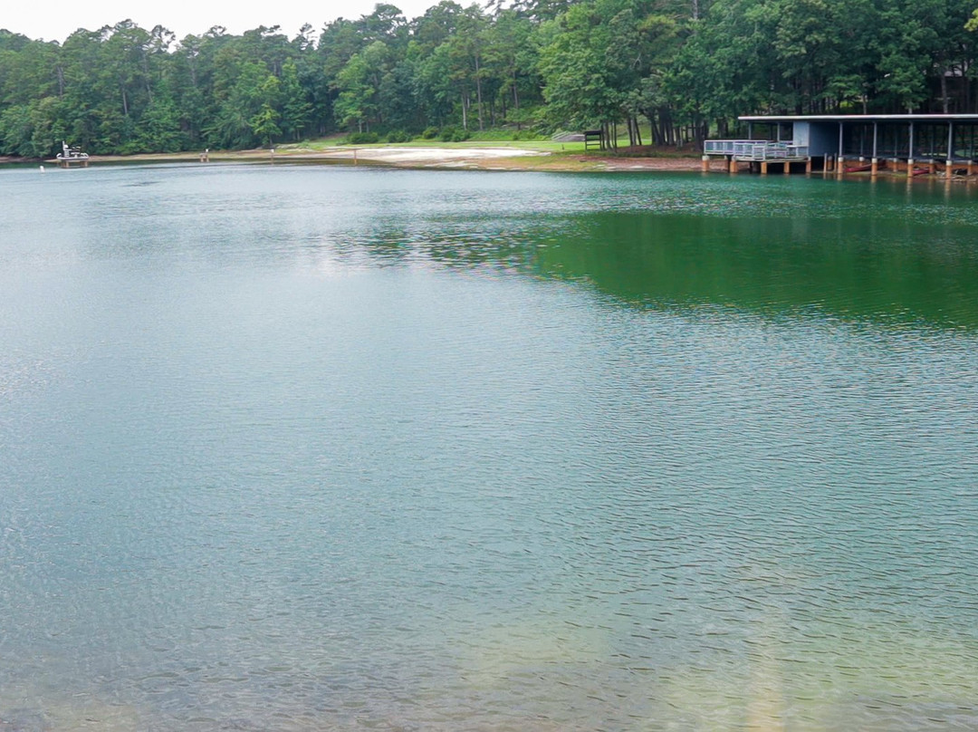 Cliffs of the Neuse State Park景点图片