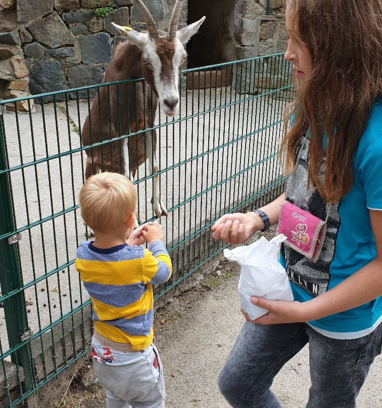 Tierpark Senftenberg-Senftenberg必去景点