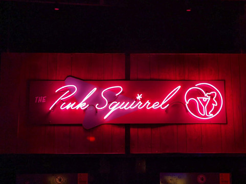 Pink Squirrel Bar-芝加哥必去景点