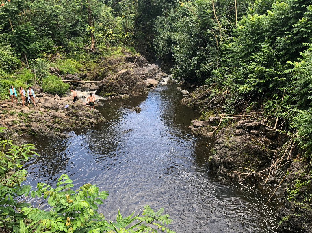 Ching's Pond景点图片