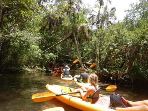 Florida Eco-Adventures- Day Tours-坦帕必去景点