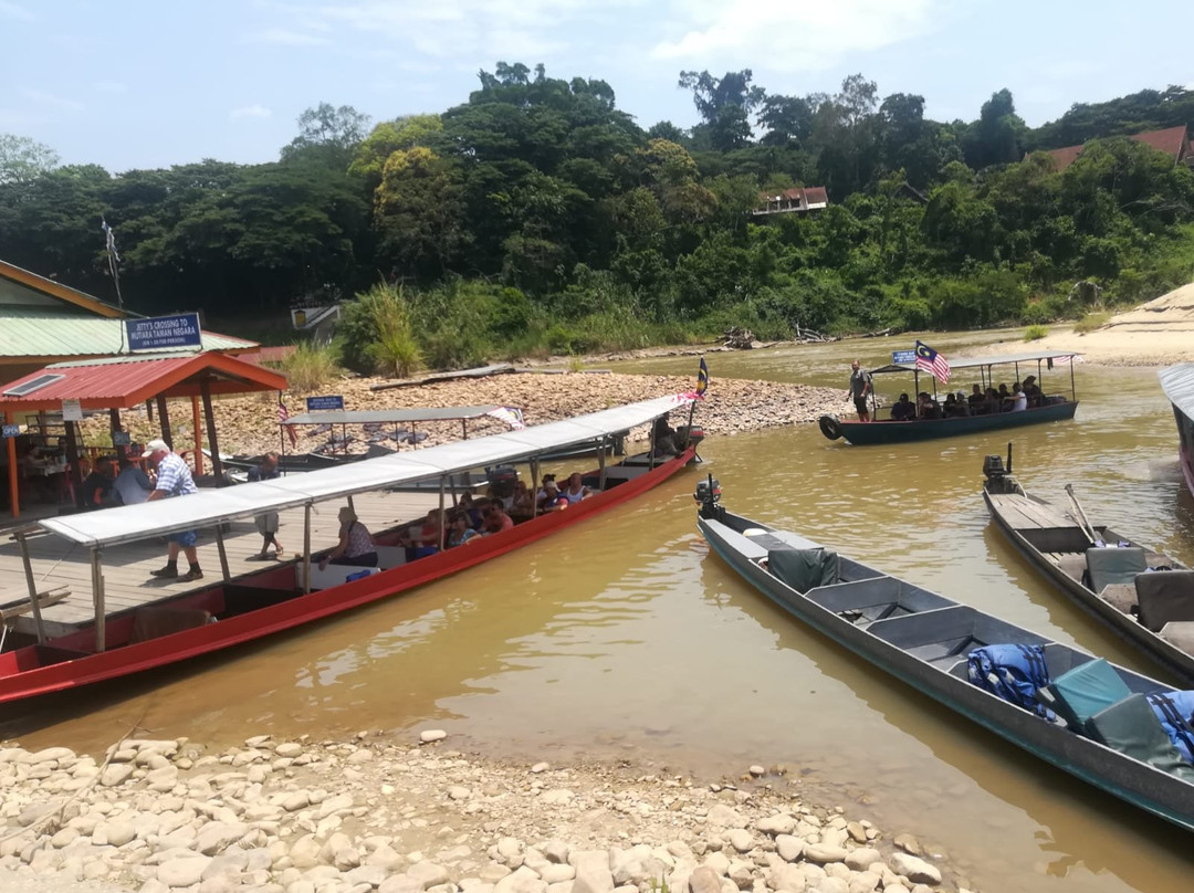Taman Negara National Park-吉兰丹必去景点