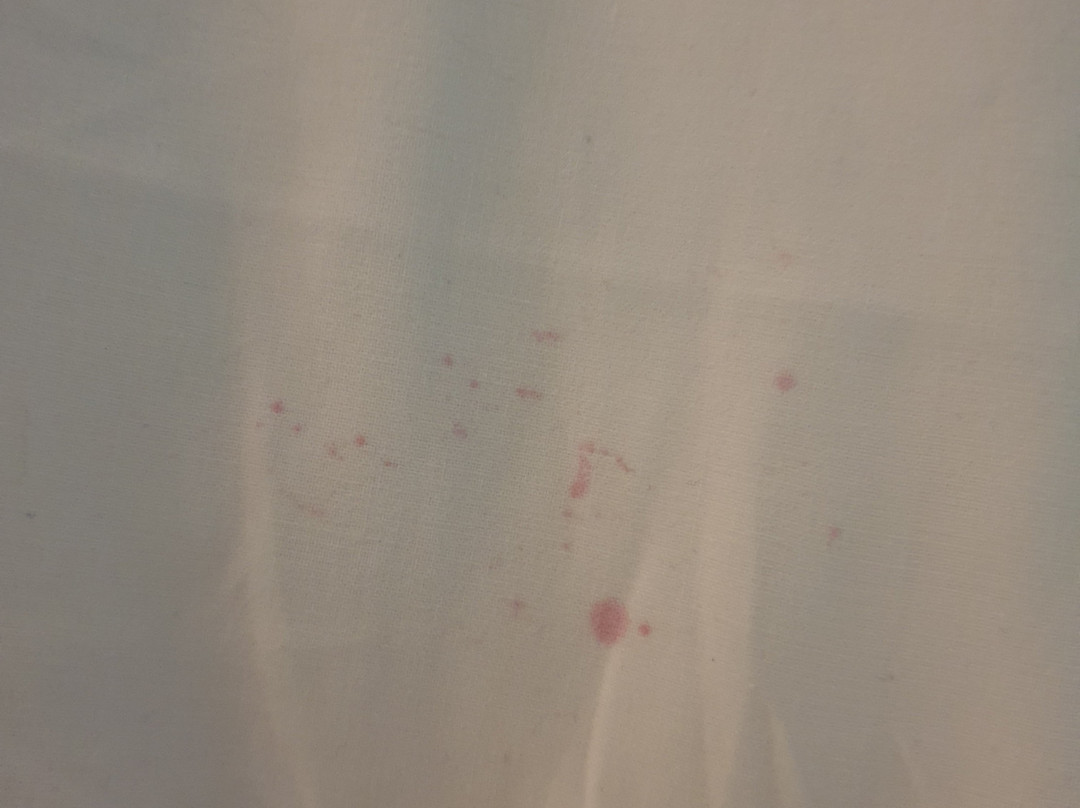 Madison Spa Motel - Adults Only主图