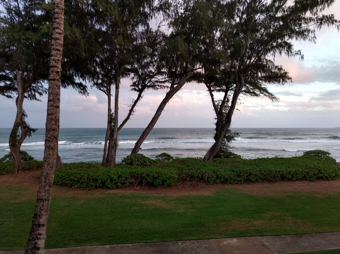 海滩雅诗顿艾兰德酒店主图