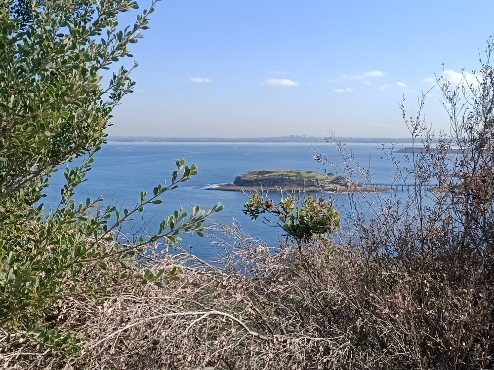 Henry Head Walking Track-La Perouse必去景点