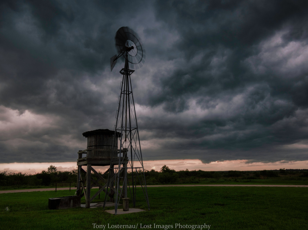 Twin Oaks Conservation-基西米必去景点