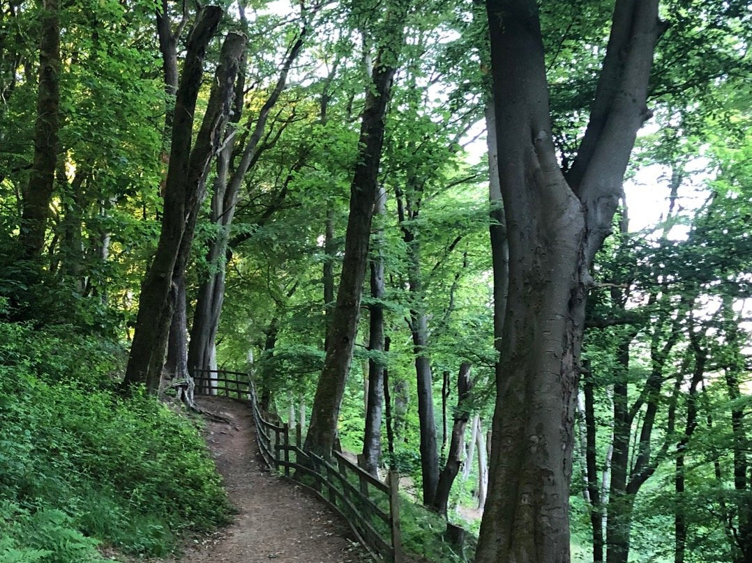 Sunnyhurst Wood-Darwen必去景点