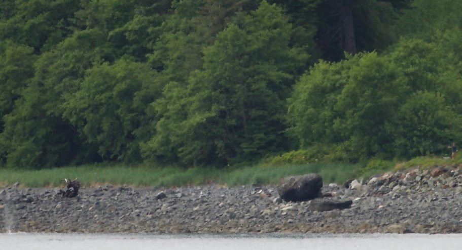 Eagle Beach-朱诺必去景点
