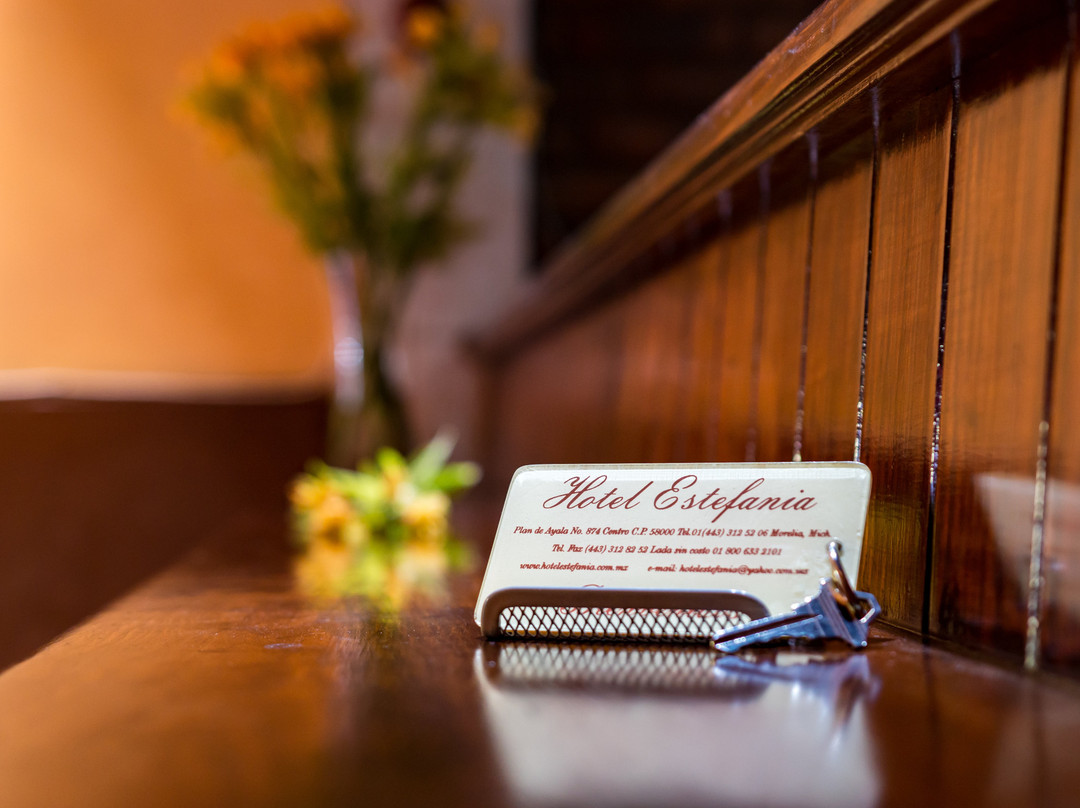 Hotel Estefania主图
