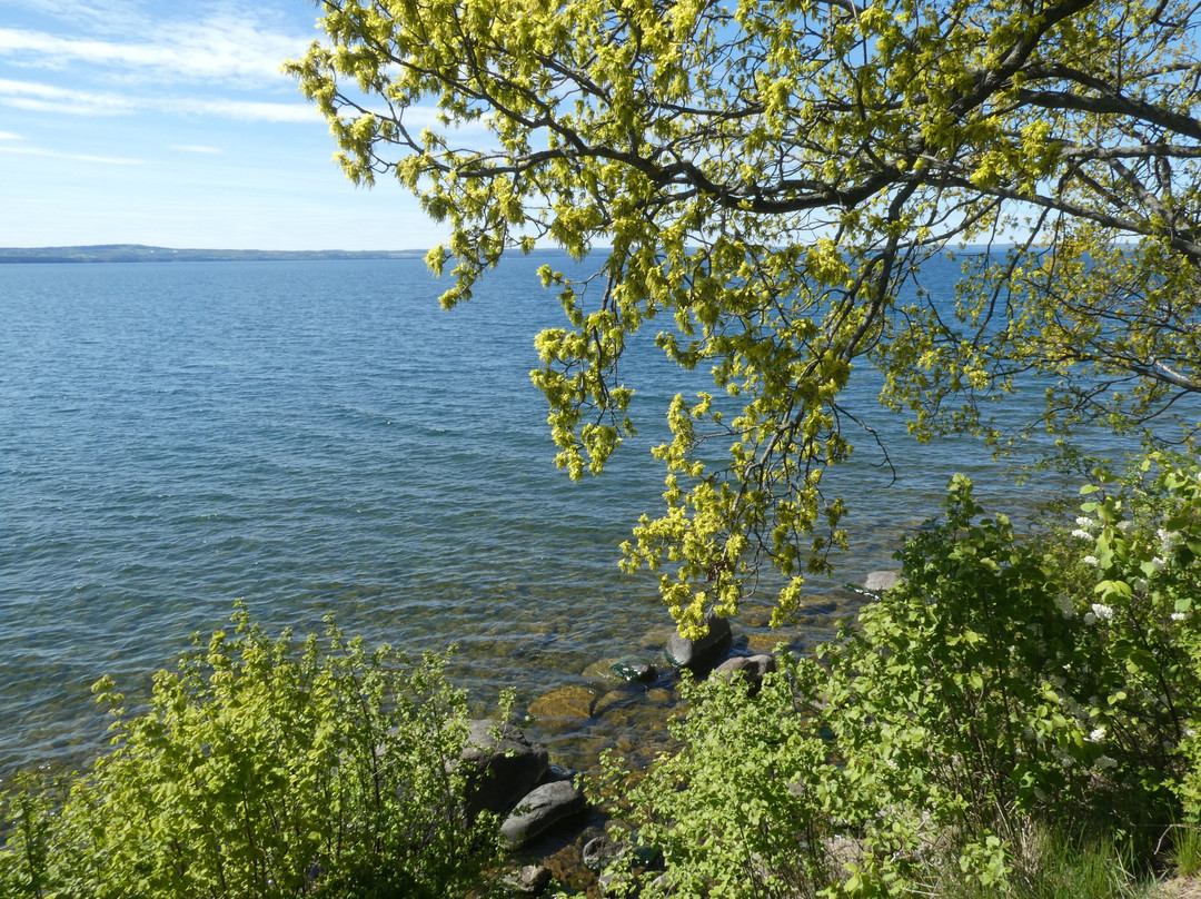 Rastplats Vista Kulle S