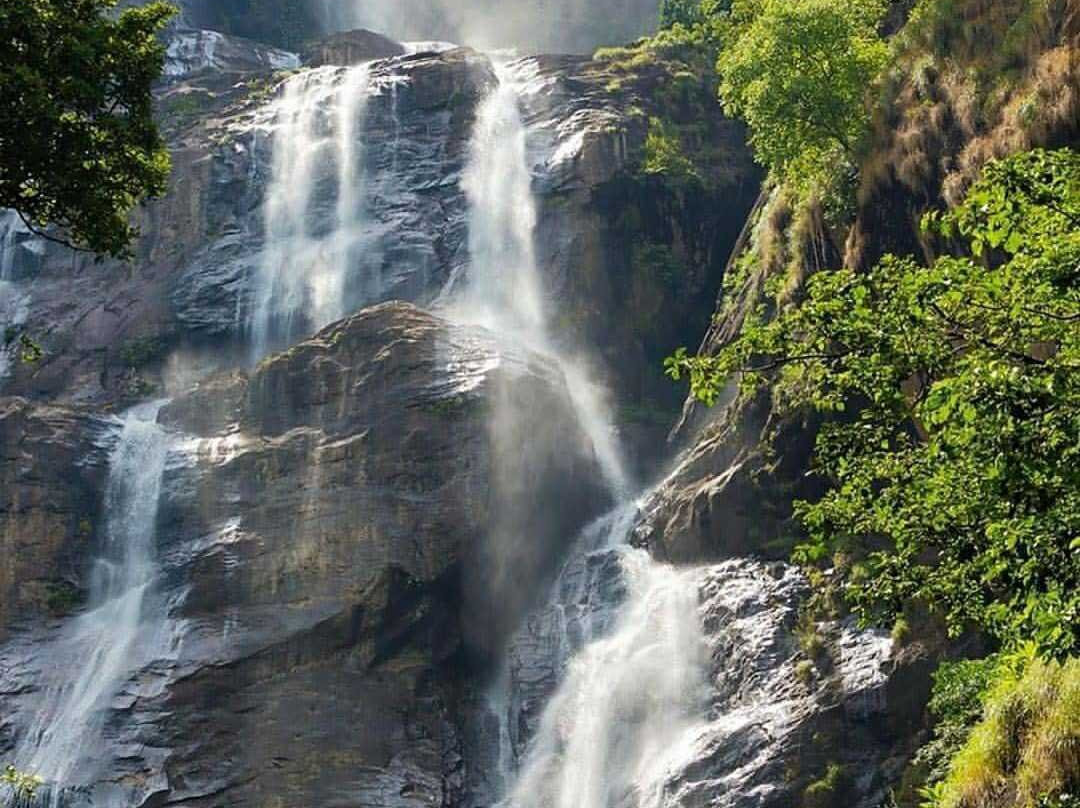 Udzungwa Mountains National Park-莫洛哥罗必去景点