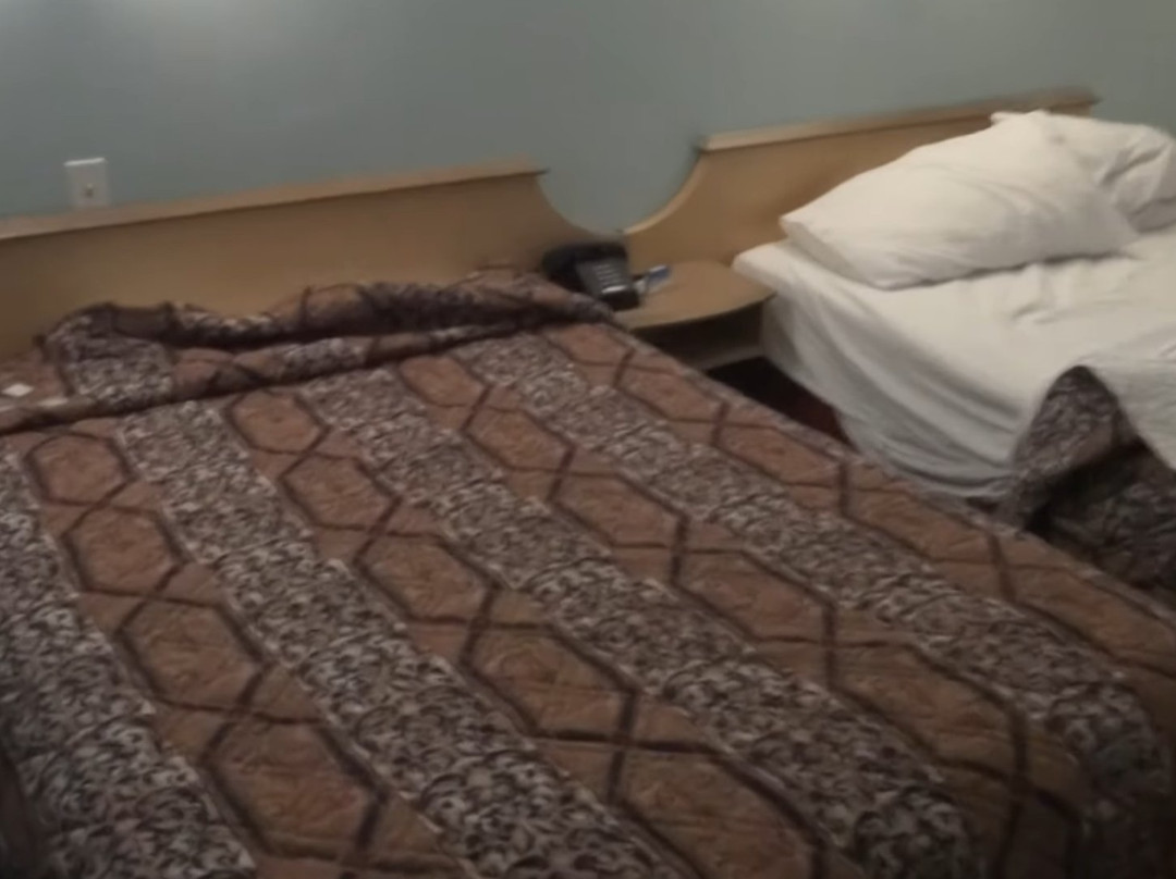 Meadowbrook Motor Lodge主图