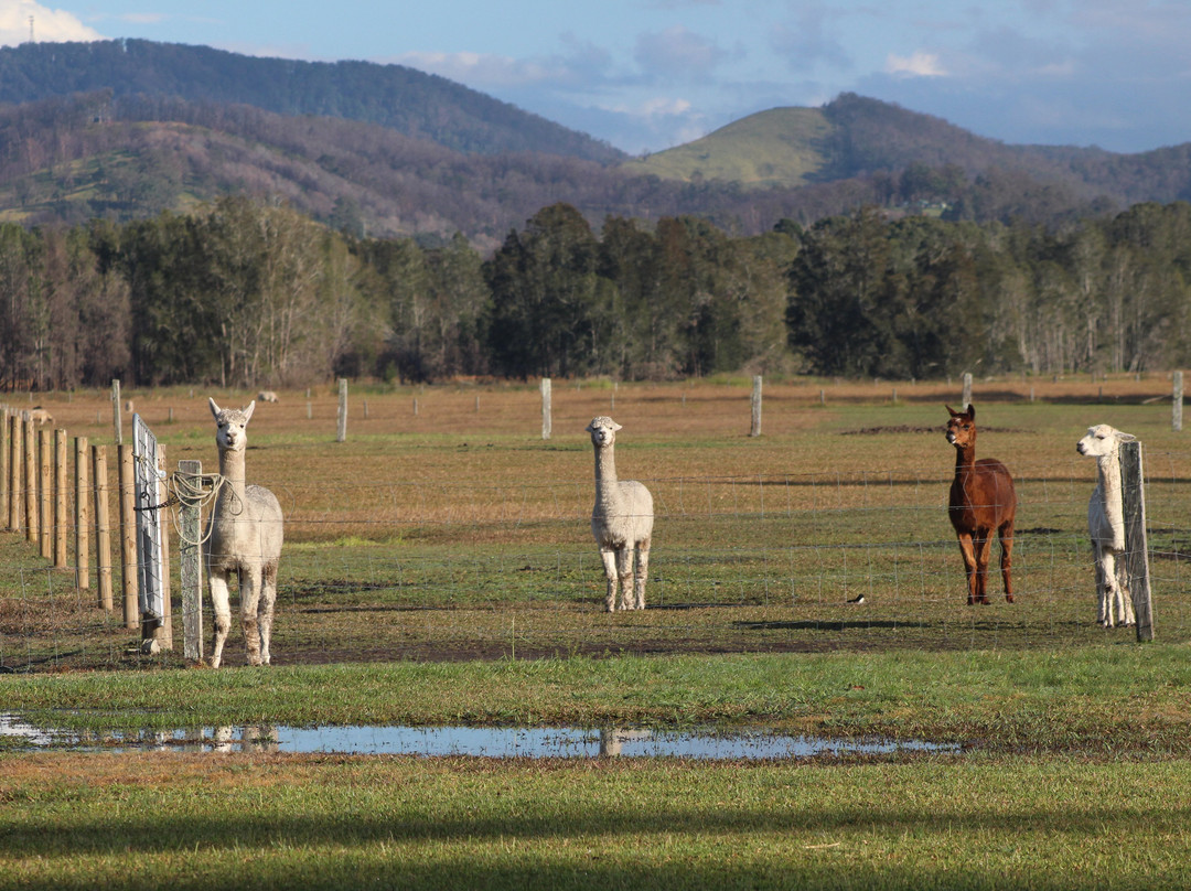 Laurina Estate主图
