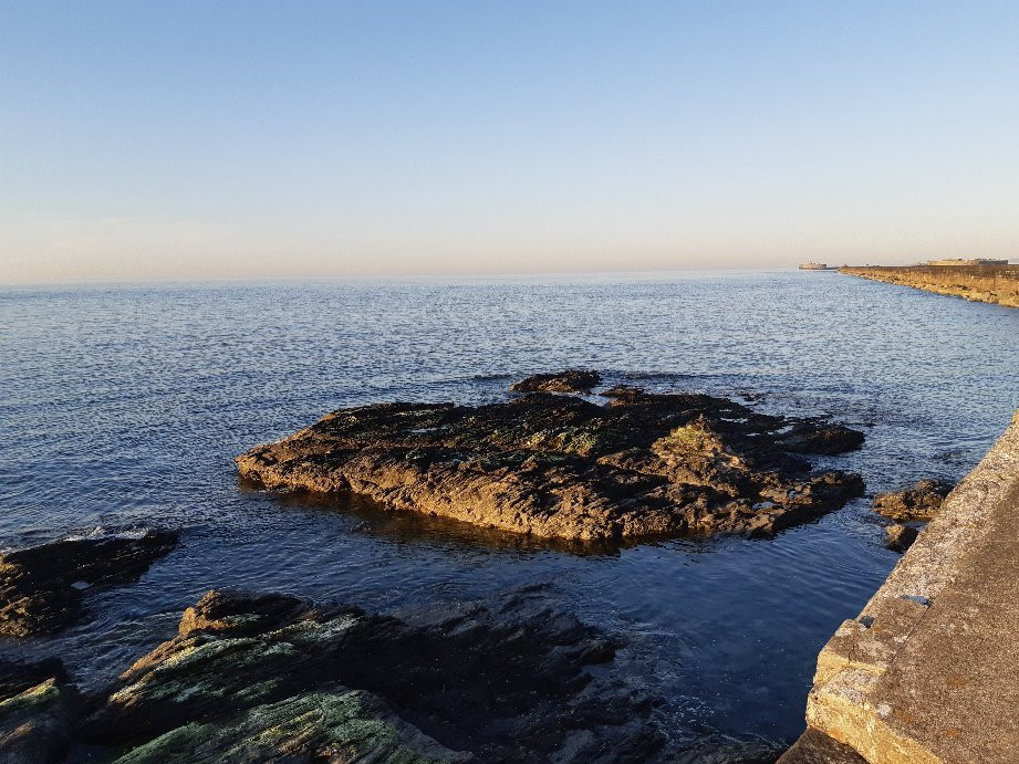 Plage de la Saline-瑟堡-奥克特维尔必去景点