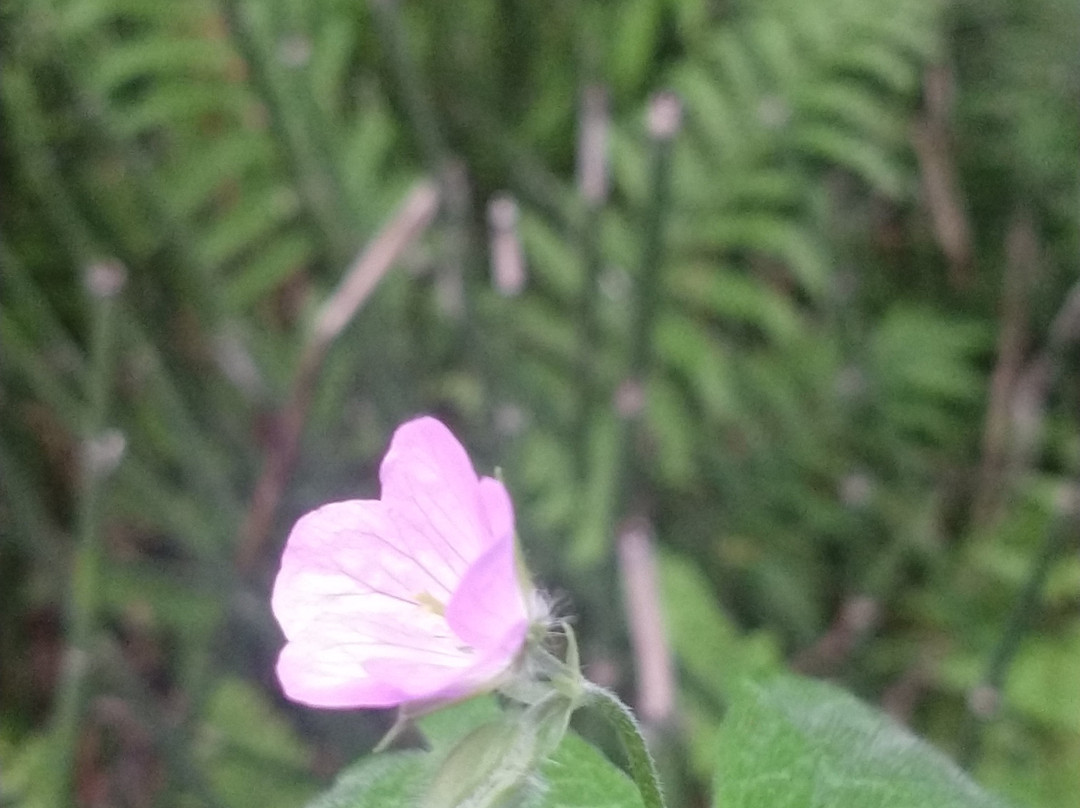 Cascade Falls-Osceola必去景点