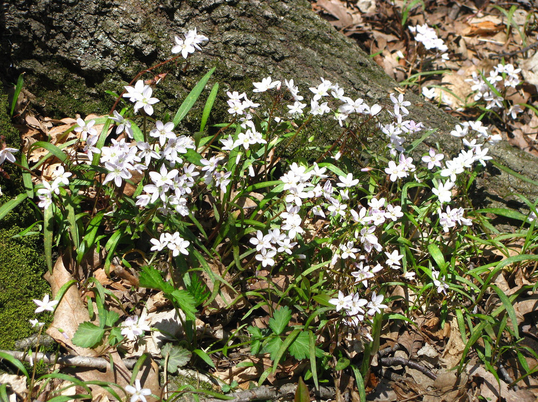 Muskego Park-Muskego必去景点