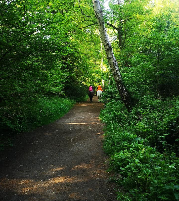 Esher Common-Esher必去景点