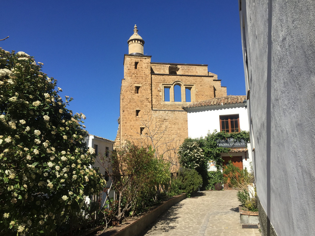 Ruinas de Santa María景点图片