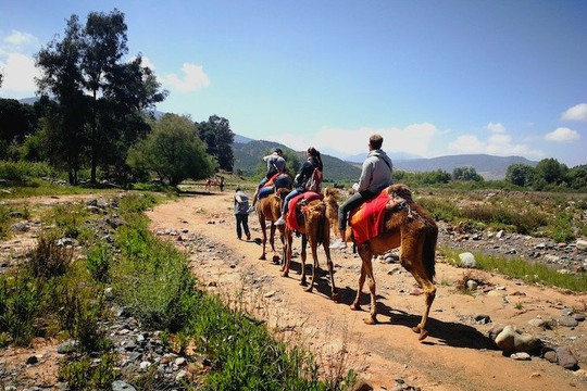 2 days toubkal trek from marrakech-马拉喀什必去景点