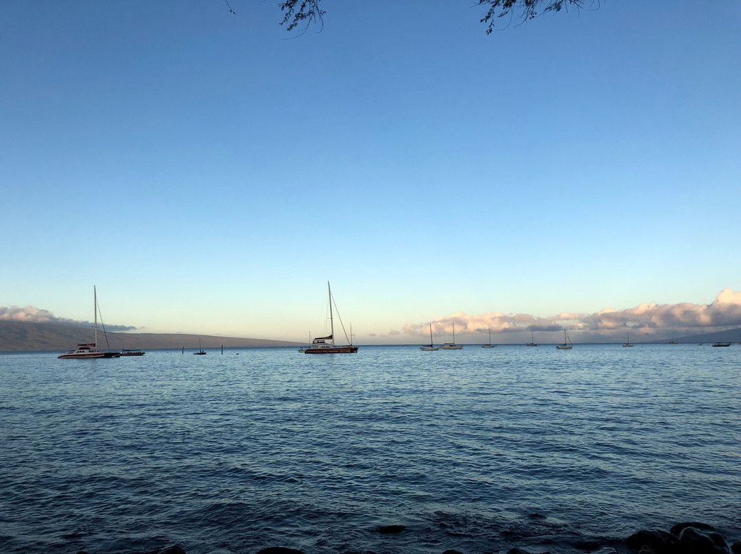 Baby Beach In North Lahaina-拉海纳必去景点