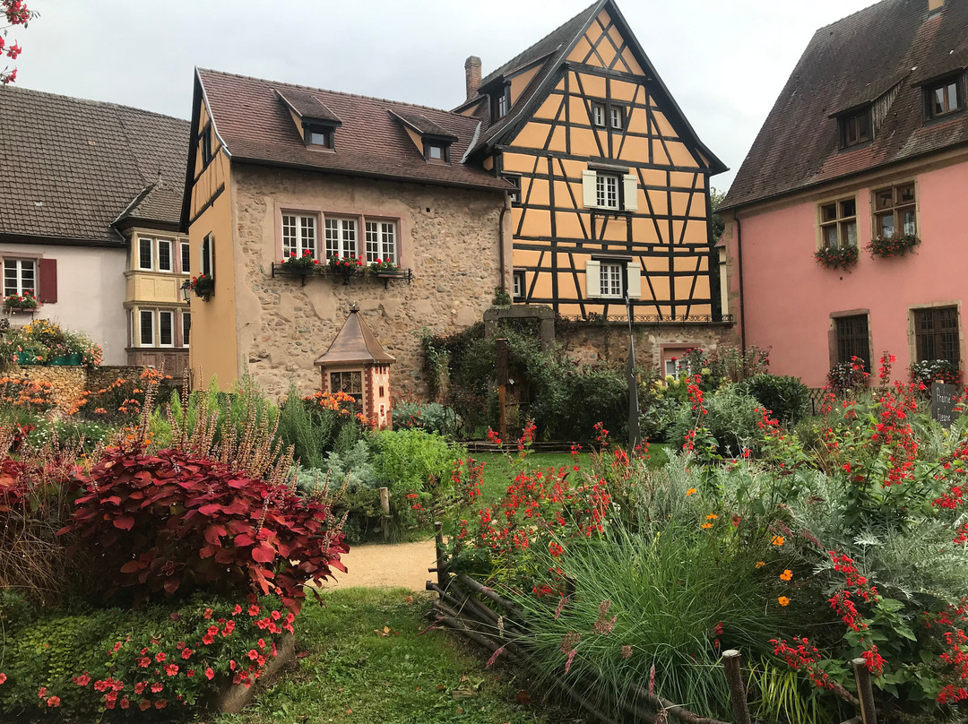 Jardin Medieval景点图片
