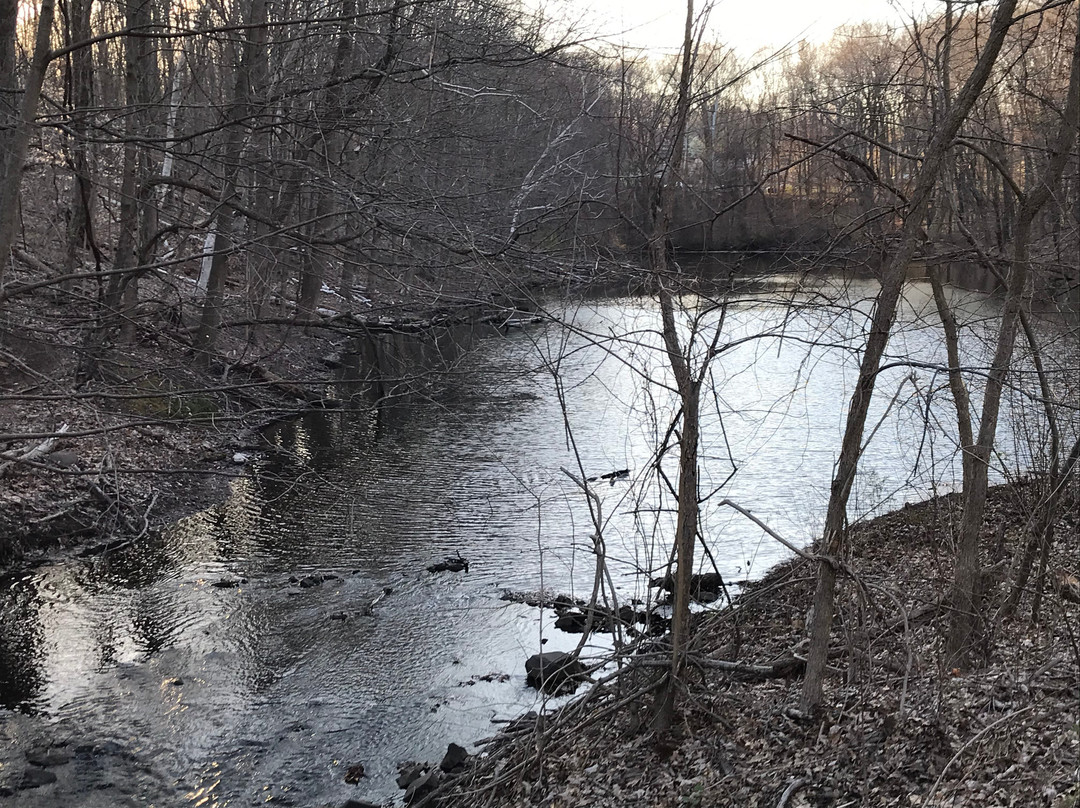 Dividend Pond-罗基希尔必去景点