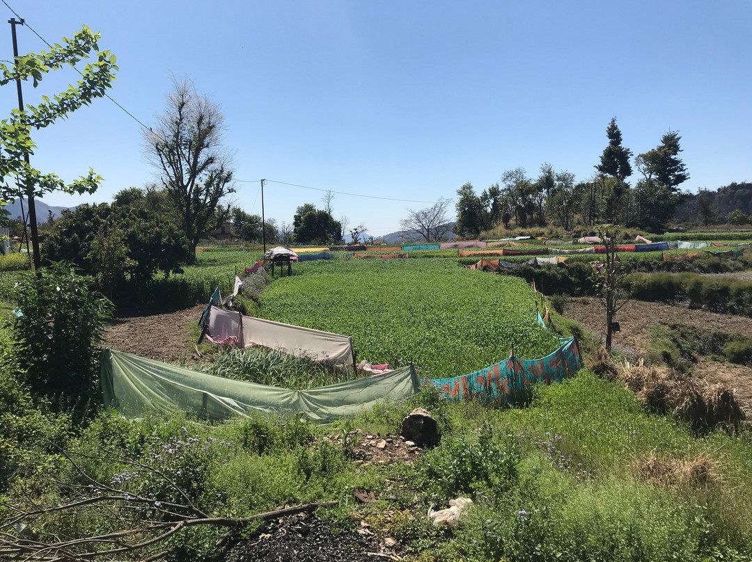 Giriraj Expeditions-里希克虚必去景点