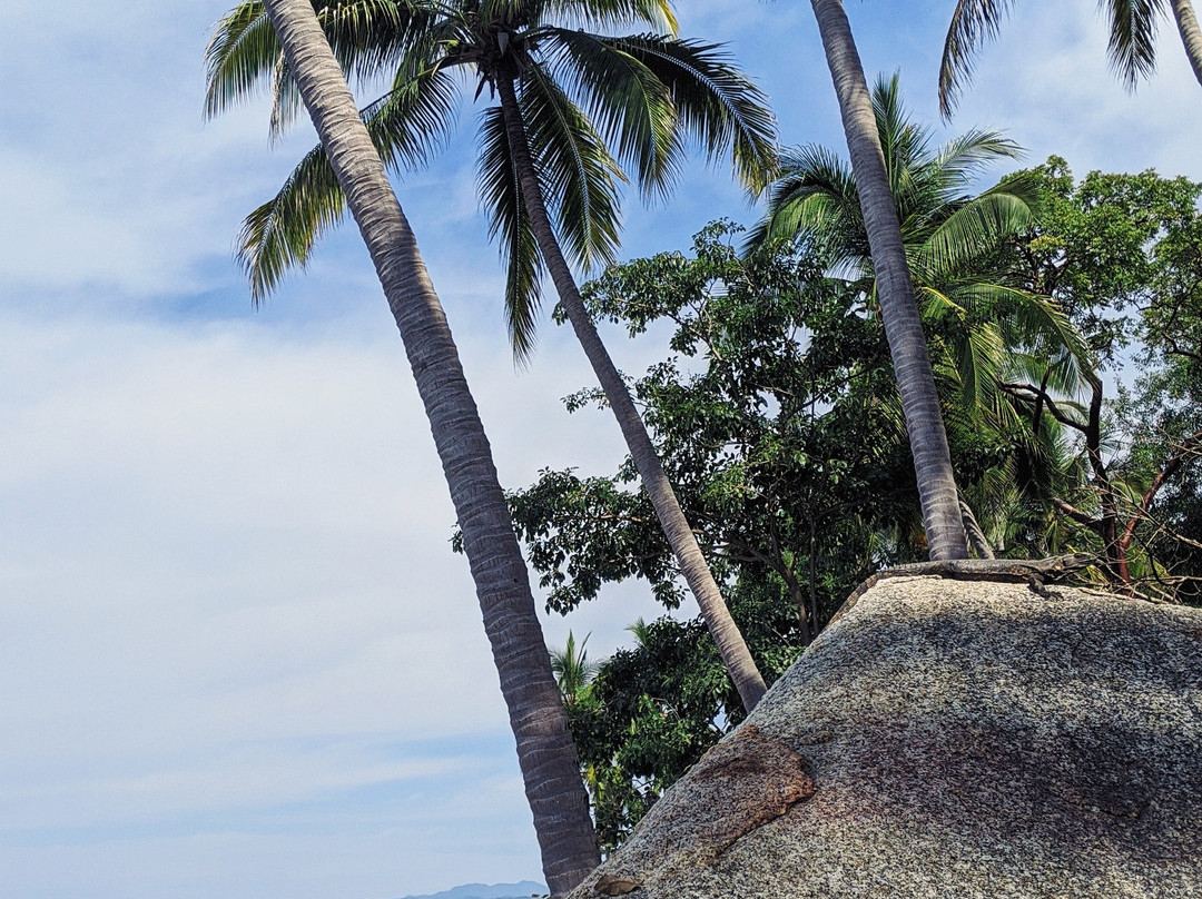 Boca Beach-Boca de Tomatlan必去景点