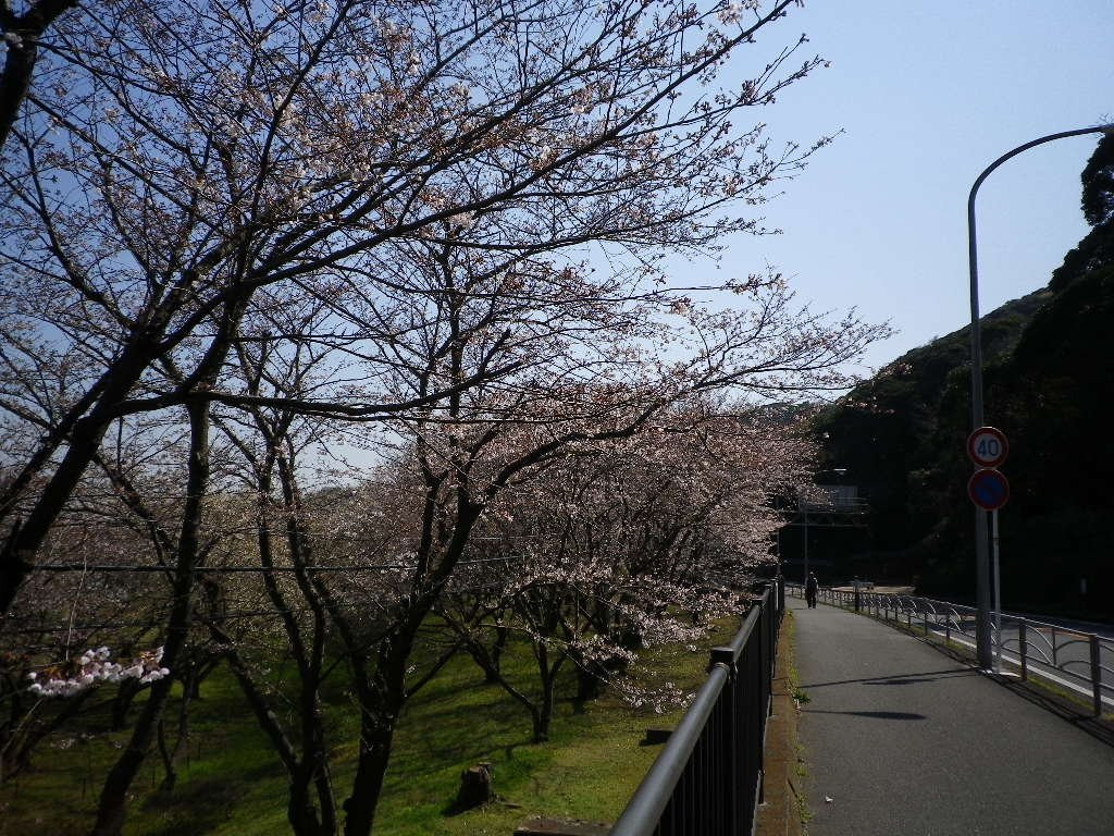 Yokosuka Hashirimizu Dam-横须贺市必去景点