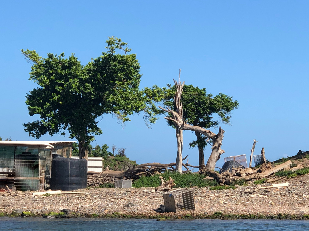 Barefoot Travelers Kayak Tour to Monkey Island景点图片