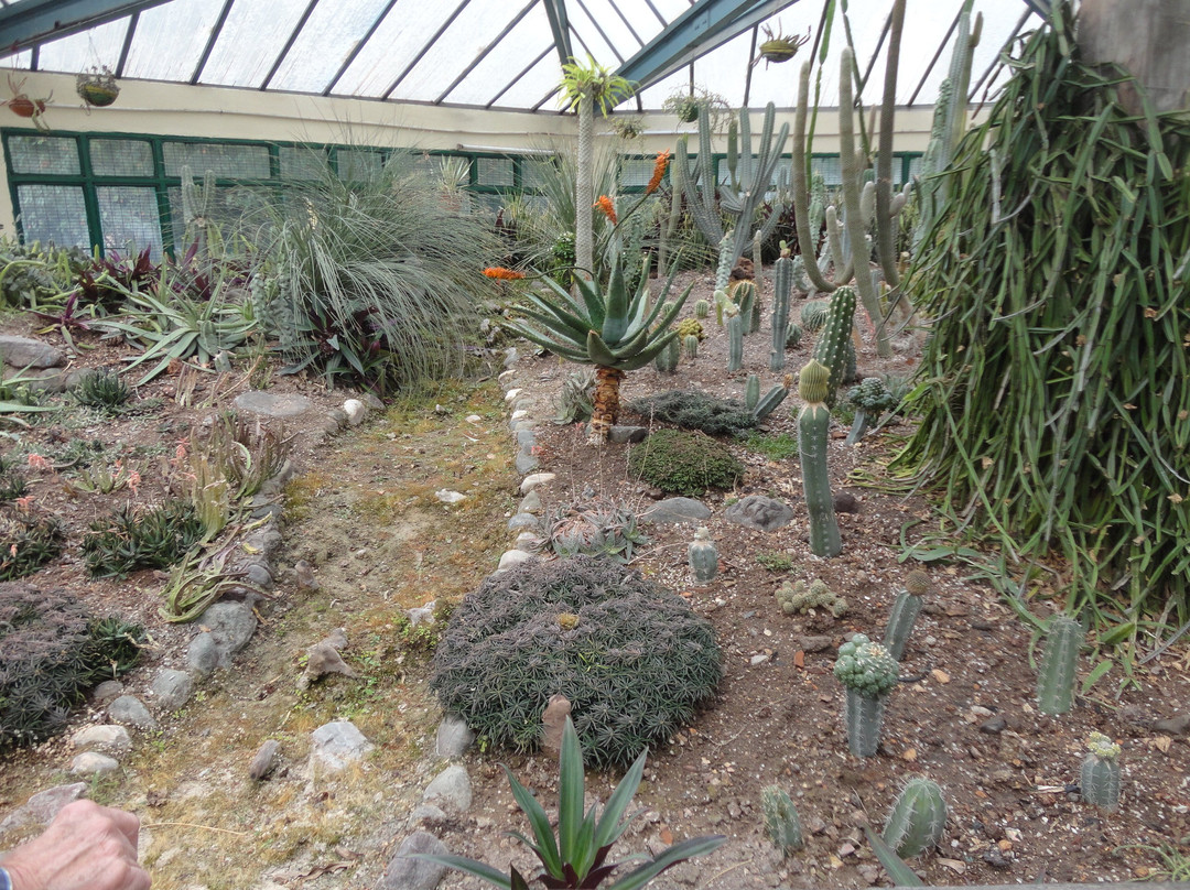 Sarkaria Cactus Garden-Panchkula必去景点