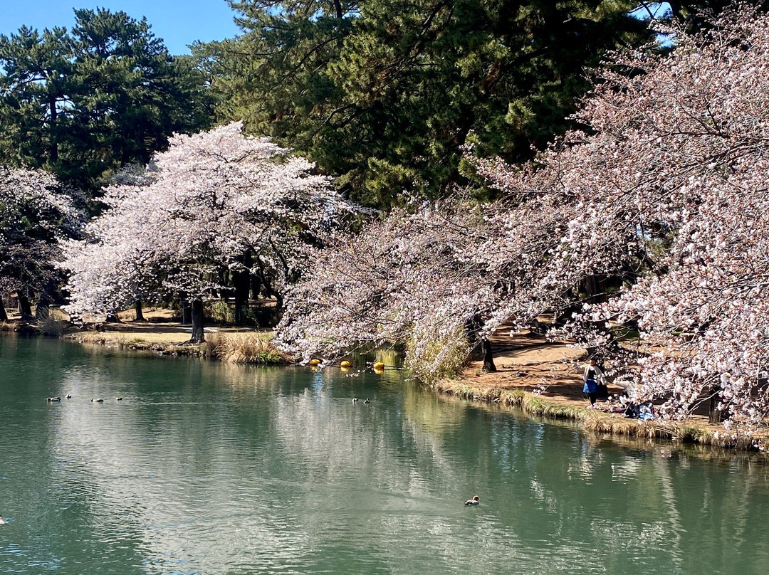 Shikishima Park-前桥县必去景点