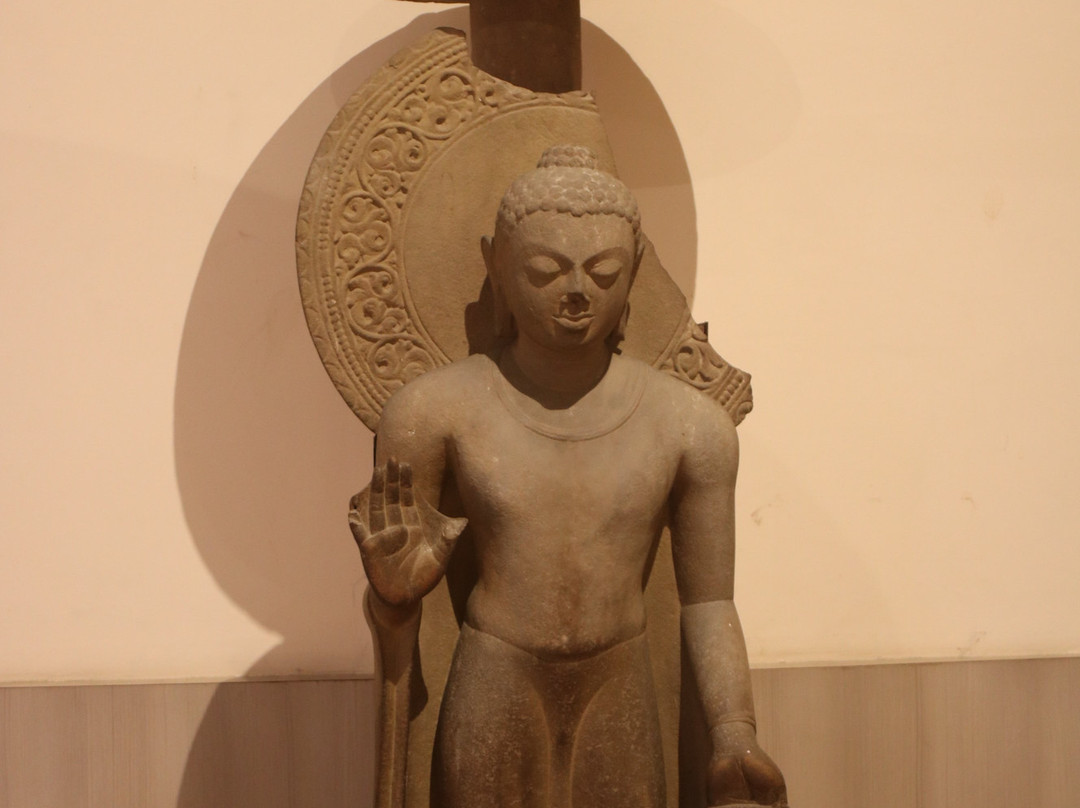 Archaeological Museum景点图片