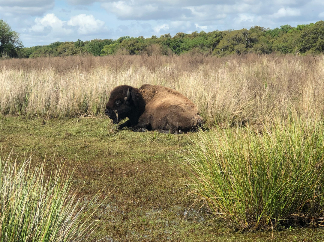 Grape Hammock-莱克威尔士必去景点