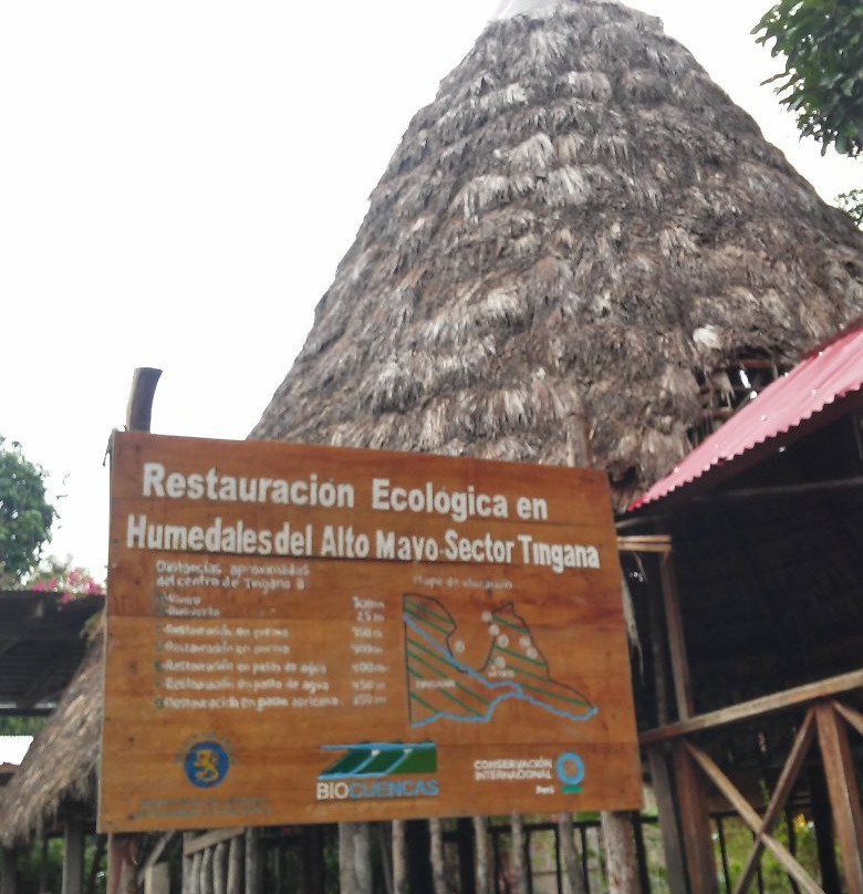 Tingana-Moyobamba必去景点