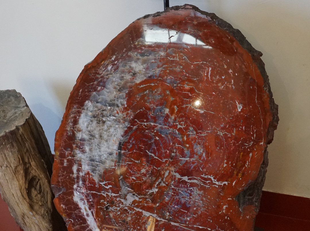 Giant Logs Loop景点图片