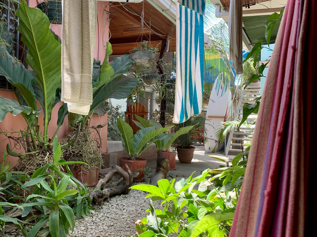 Cocobolo Surf Hotel & School主图