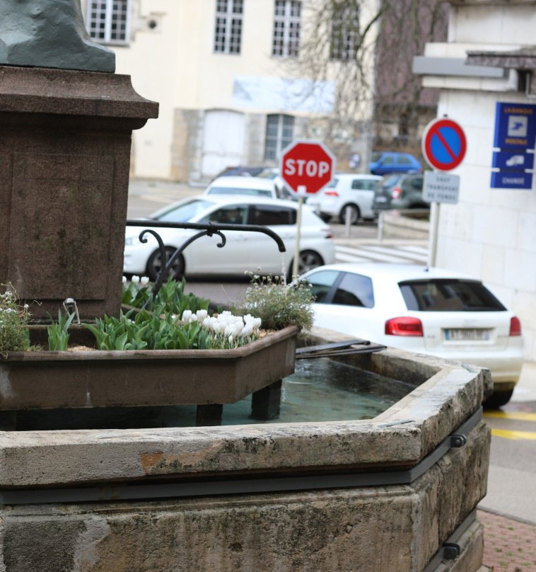 Fontaine du Vigneron景点图片