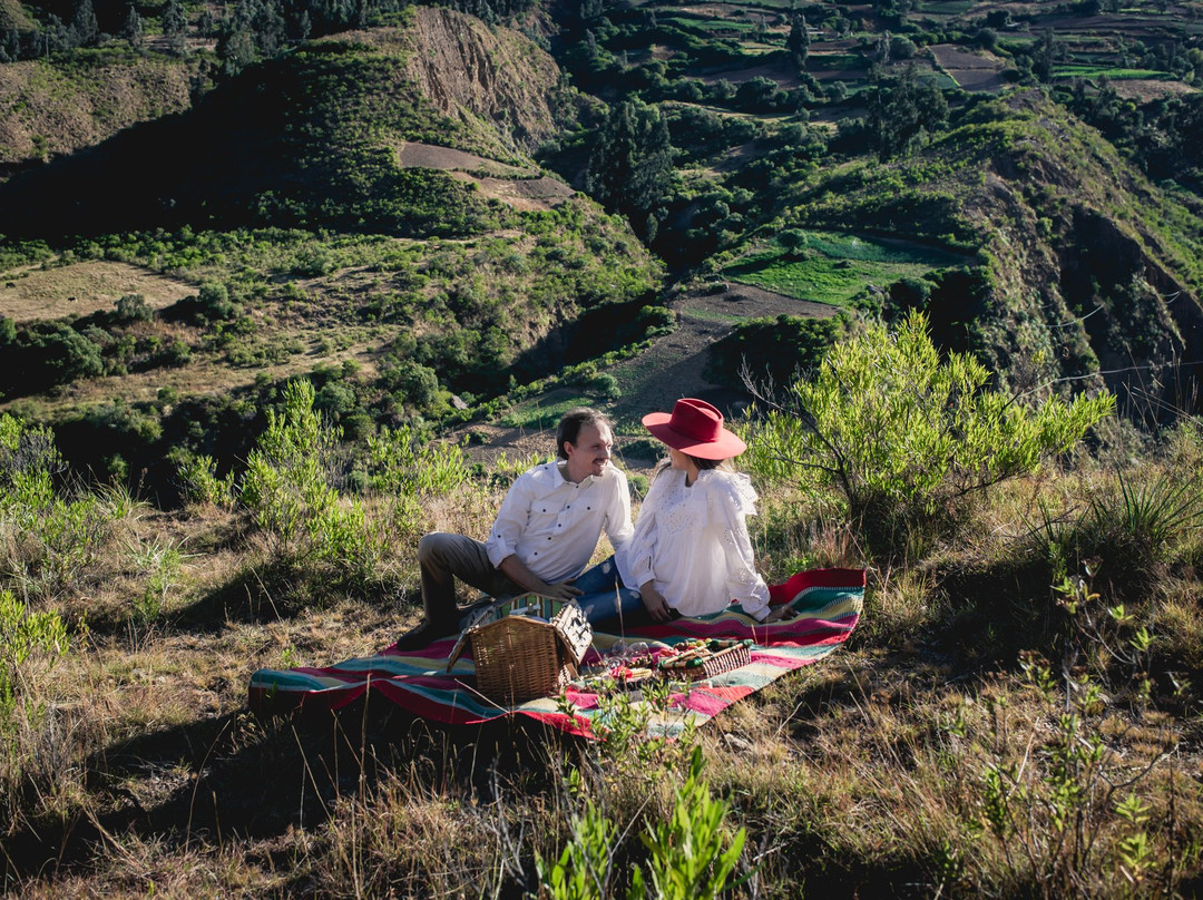 Berghotel Carolina主图