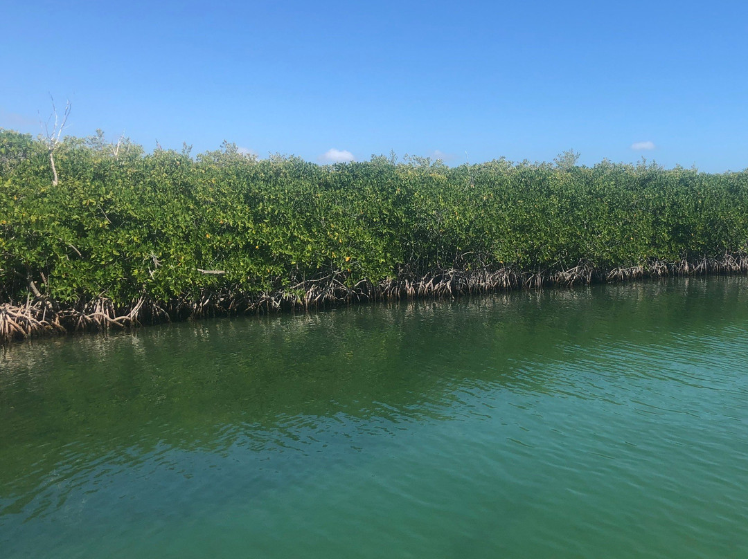 Marina La Bonita-从莫雷洛斯港必去景点