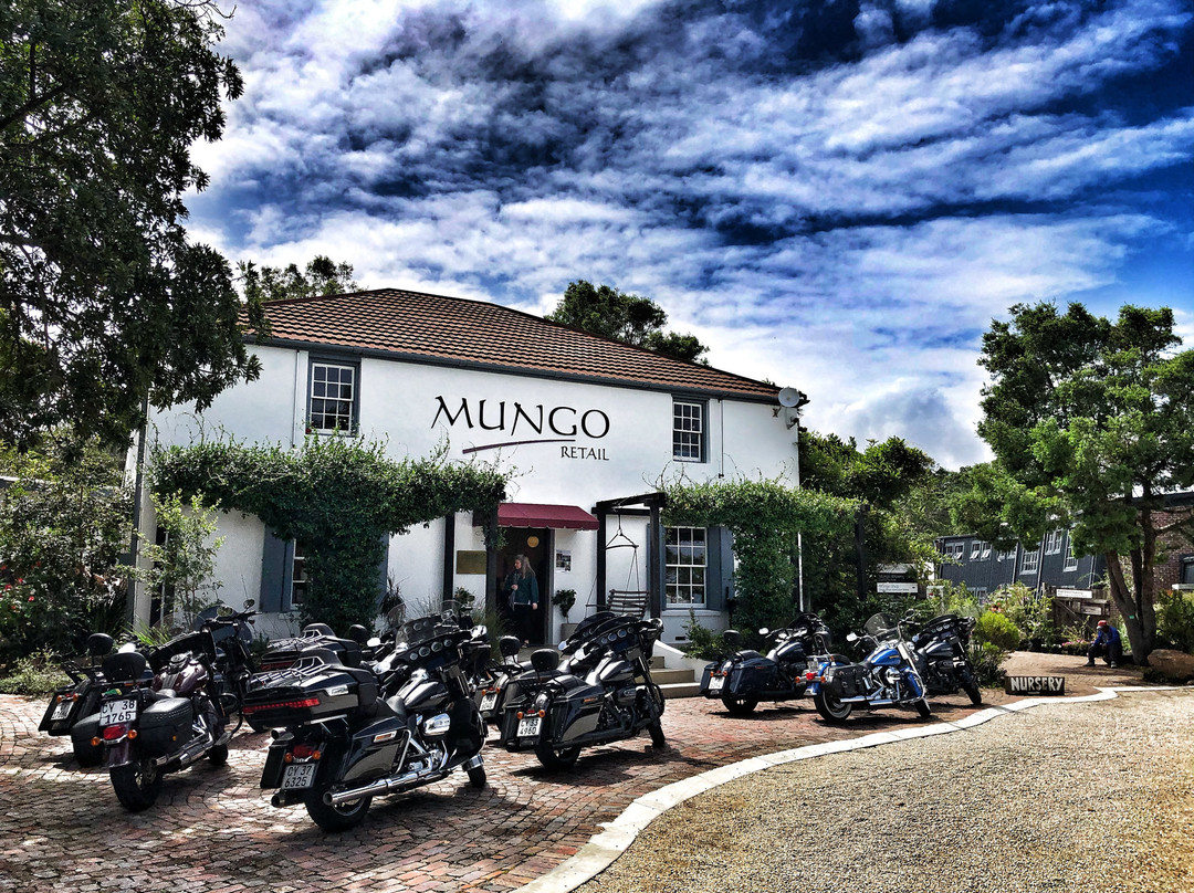 Mungo Mill-普利登堡湾必去景点