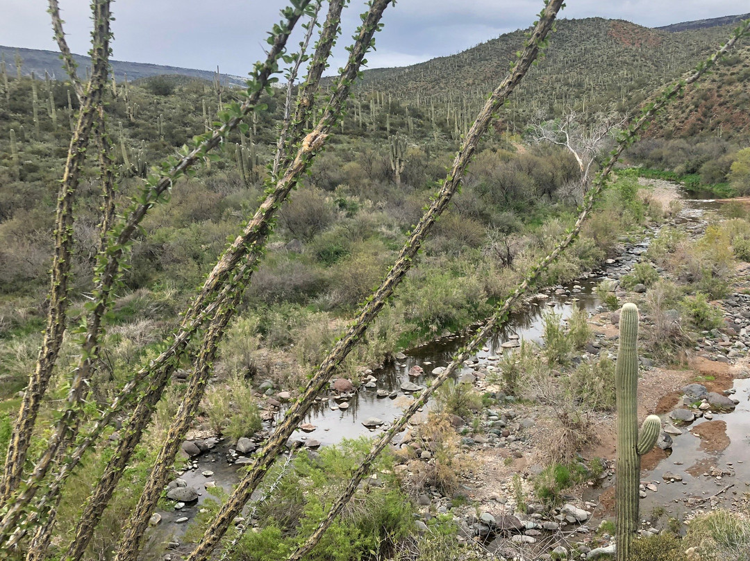 Spur Cross Ranch Conservation Area景点图片