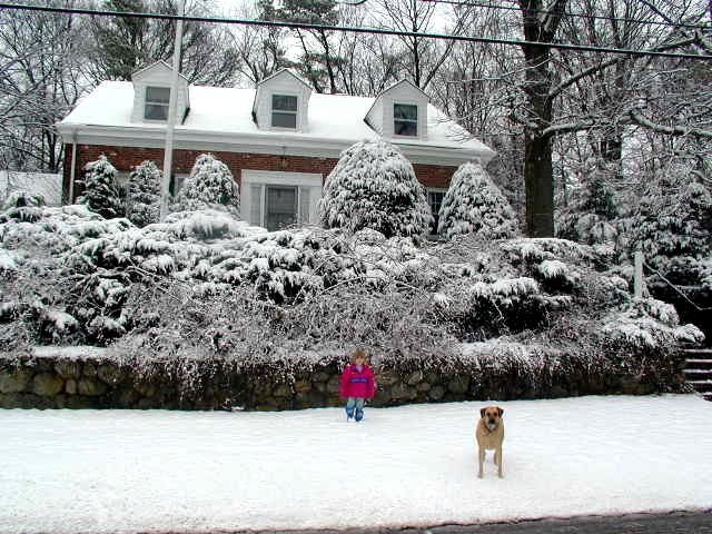 Morgan's Rest Bed & Breakfast主图