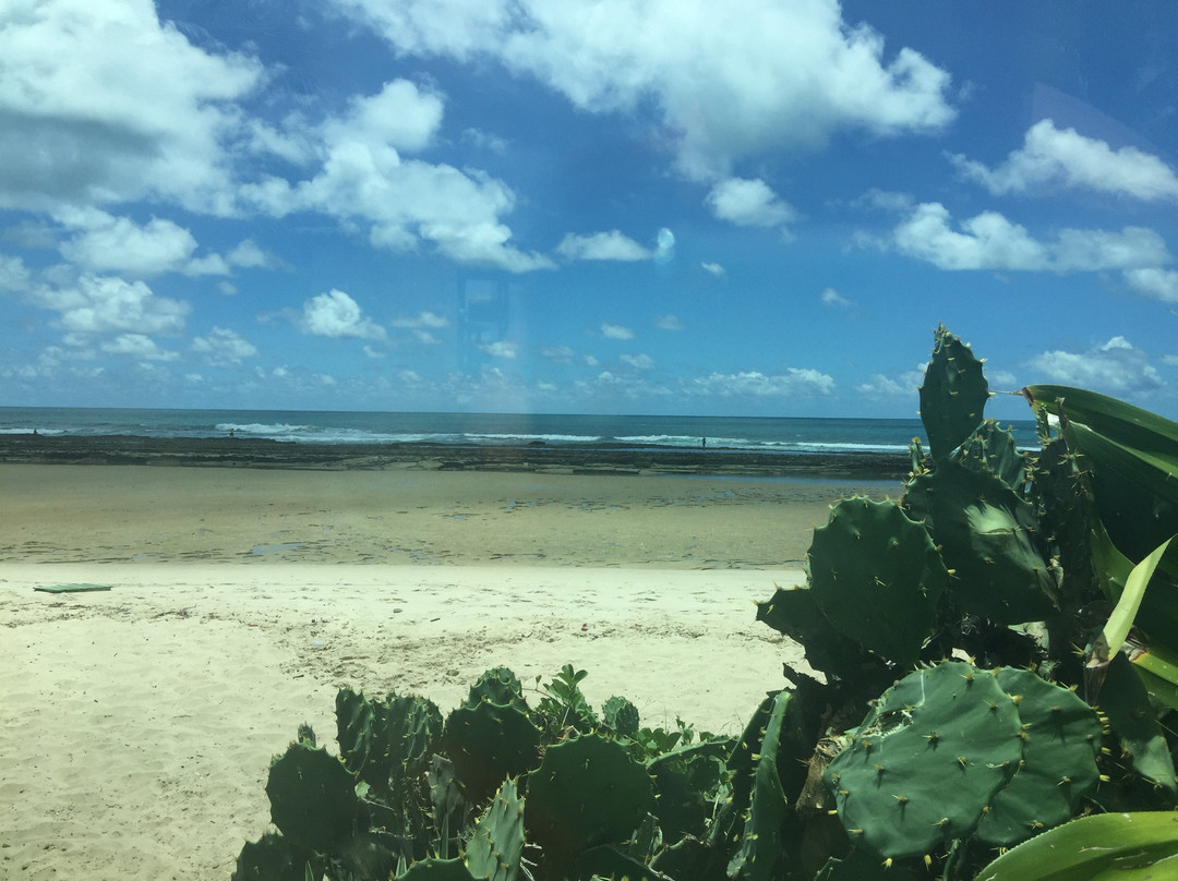 Enseada dos Corais Beach景点图片