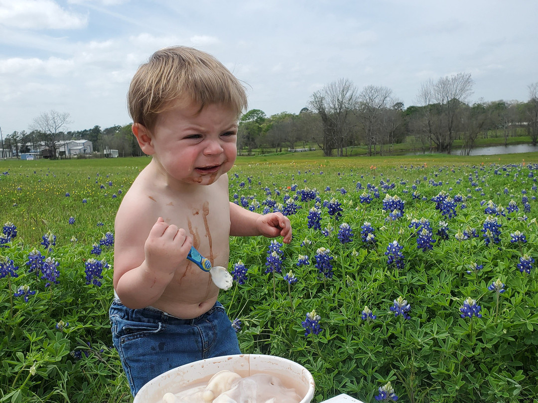 Blue Bell Creameries景点图片