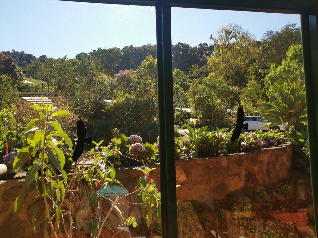 Savegre Hotel Natural Reserve & Spa主图