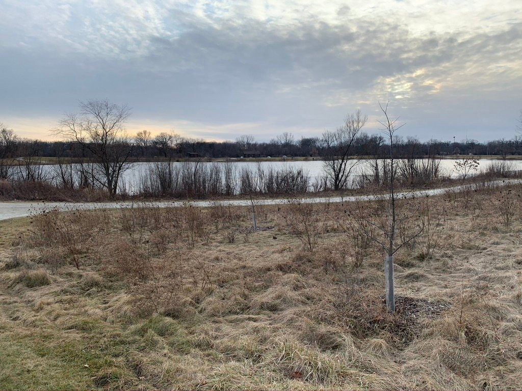 Wood Dale Grove Forest Preserve-Wood Dale必去景点