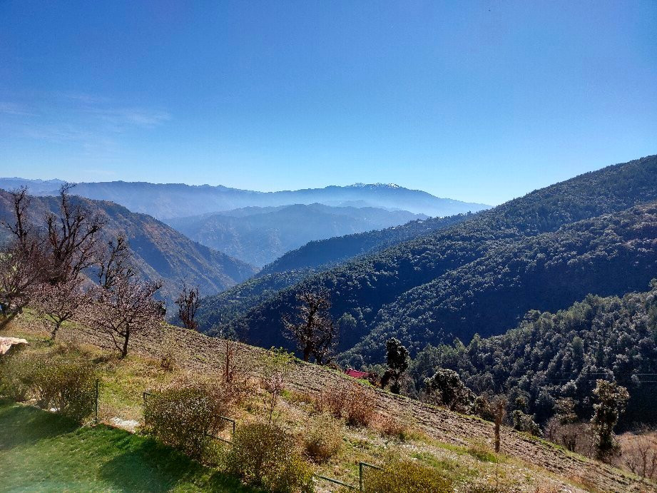 Fernhill Resorts Chail主图