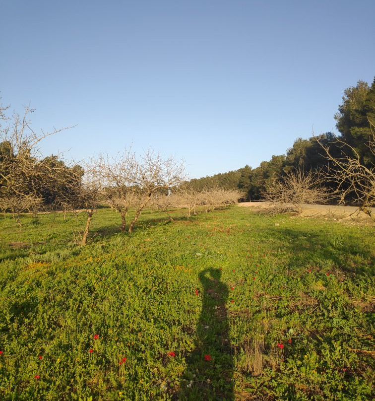 Joe Alon Center-Lahav必去景点