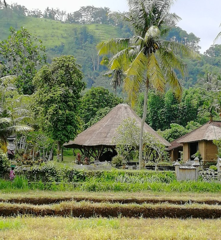 Bali Countryside景点图片